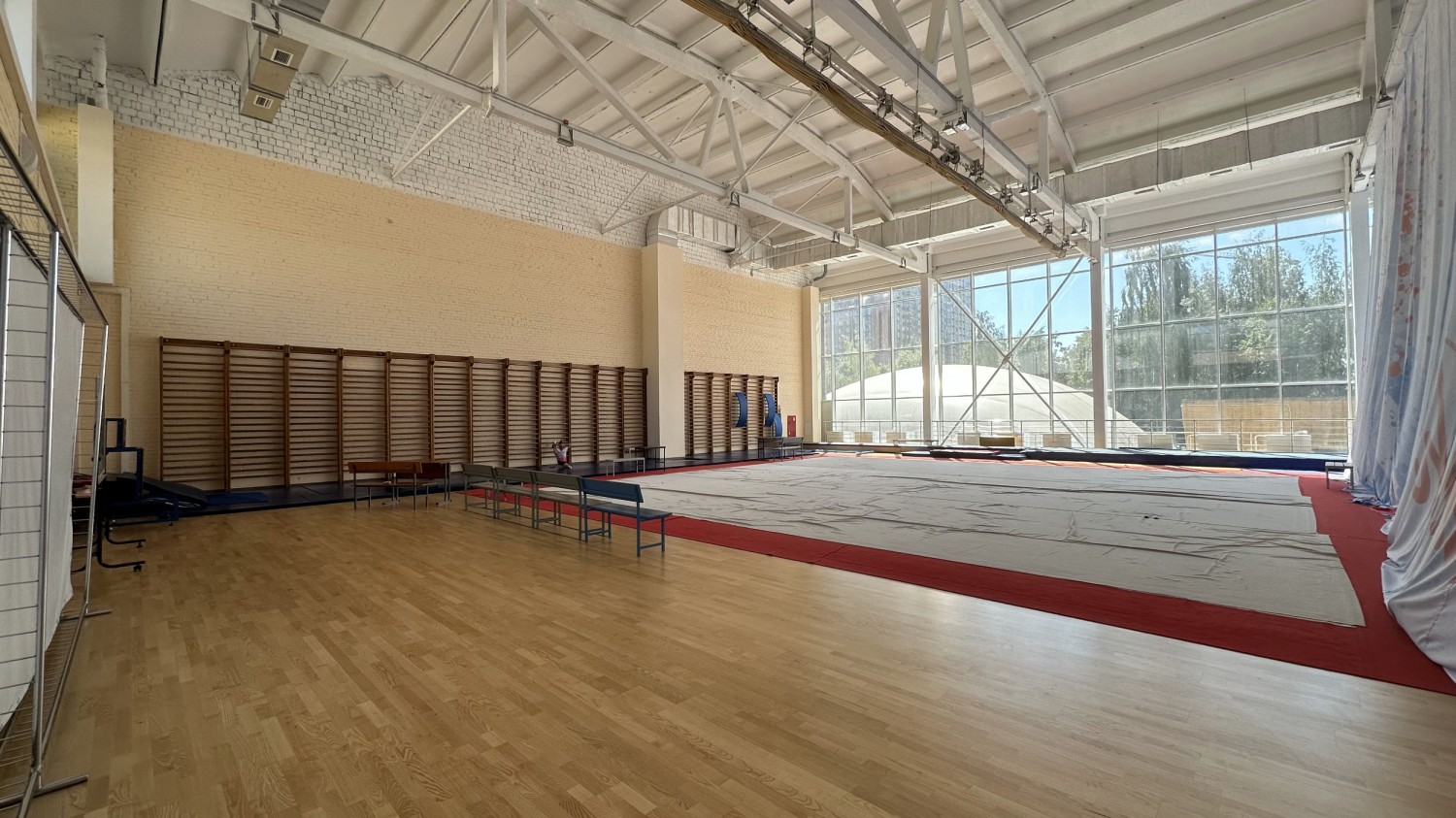 Abstract representation of physical strength and control